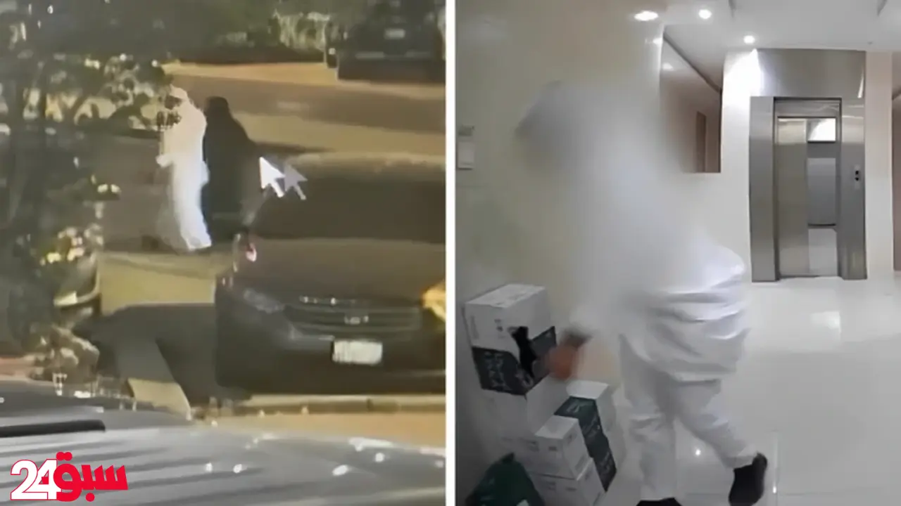 سرقة طلبات التوصيل.. كاميرات ترصد لحظة سطو رجل وامرأة على طرود المنازل